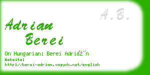 adrian berei business card